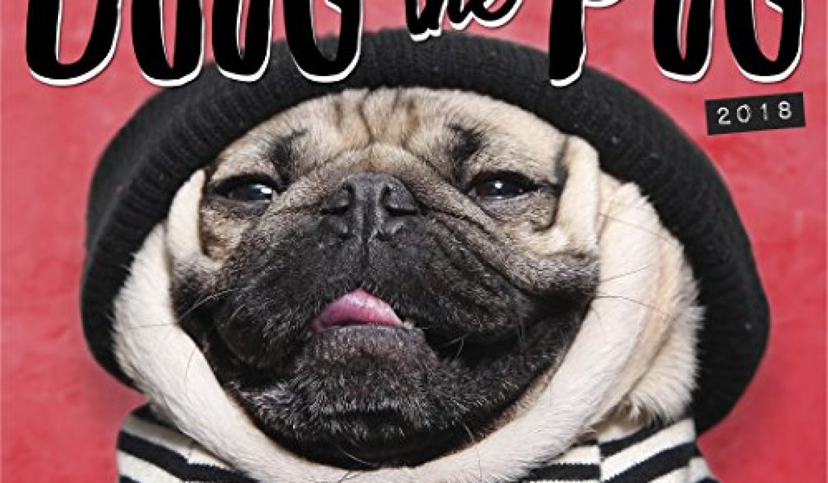 Doug the Pug 2018 Box Calendar Good To SEO