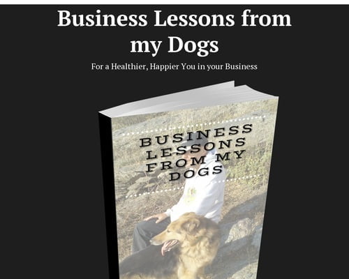 Business Lessons from m...