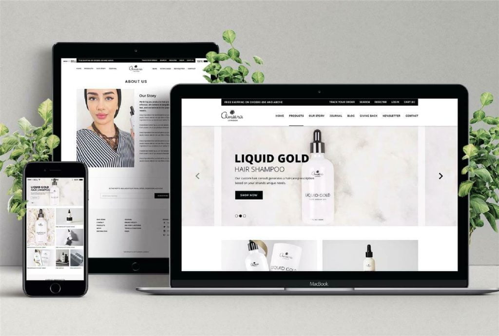 Build Your Squarespace Or Shopify Store Website (Silver Package)