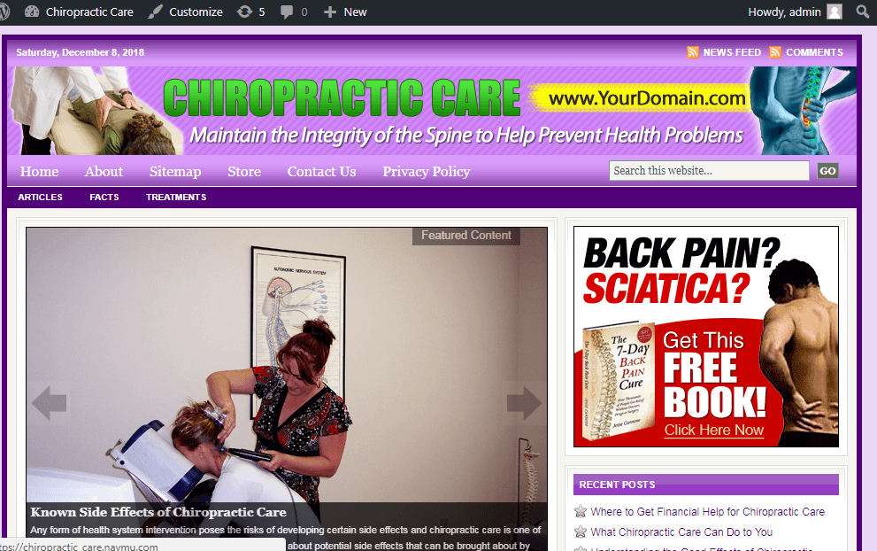 Chiropractic Care Store Website Free Installation + Free Hosting