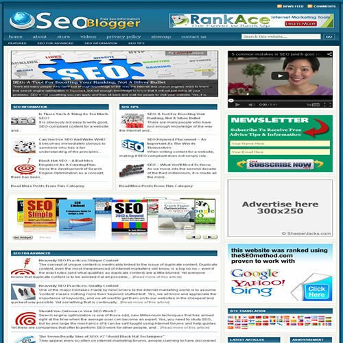 Established 'SEO MARKETING' Affiliate Website Turnkey Business (FREE HOSTING)