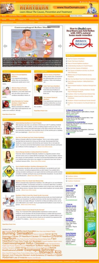 HEARTBURN REMEDIES SHOP WEBSITE and BLOG FOR SALE! with TARGETED SEO CONTENT