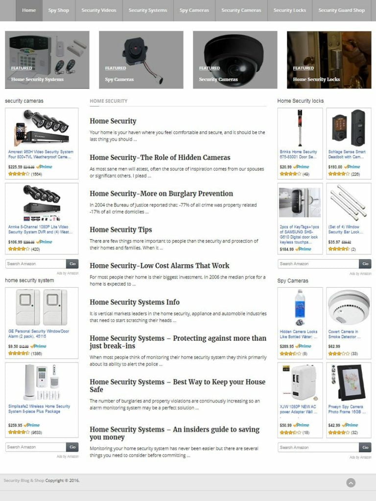 HOME SECURITY SHOP WEBSITE and BLOG FOR SALE!