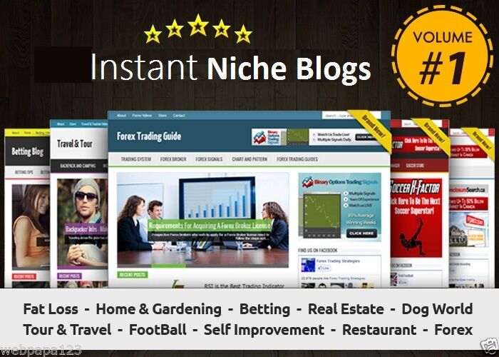 Instant Niche PLR Wordpress Blogs Package - VOLUME#1 - Ready to Business Adsense