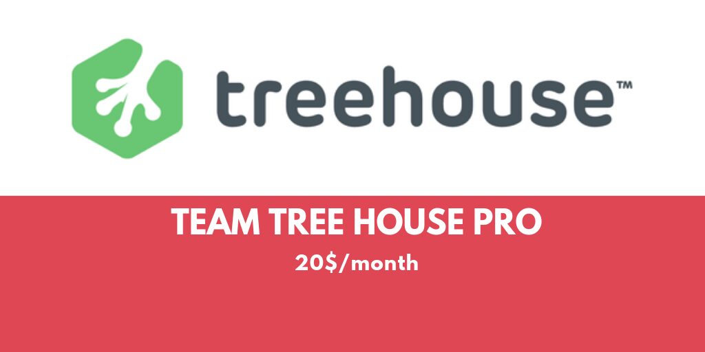 Team TreeHouse Pro Plan 1month