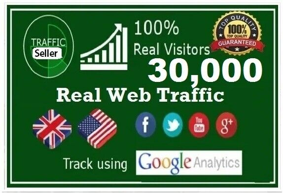 30,000+ Real Website Traffic