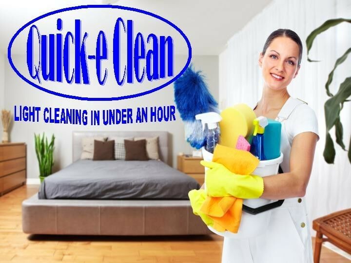 CLEANING SERVICE WEBSITE FOR SALE.