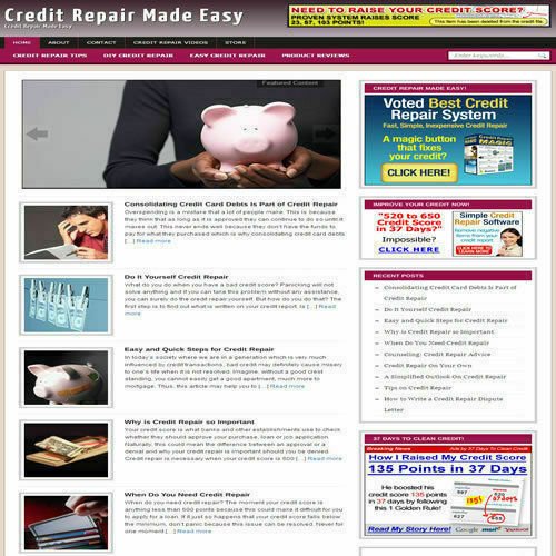 Established 'CREDIT REPAIR' Affiliate Website Turnkey Business (FREE HOSTING)