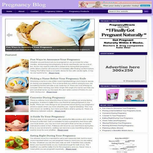 Established 'PREGNANCY BLOG' Affiliate Website Turnkey Business (FREE HOSTING)