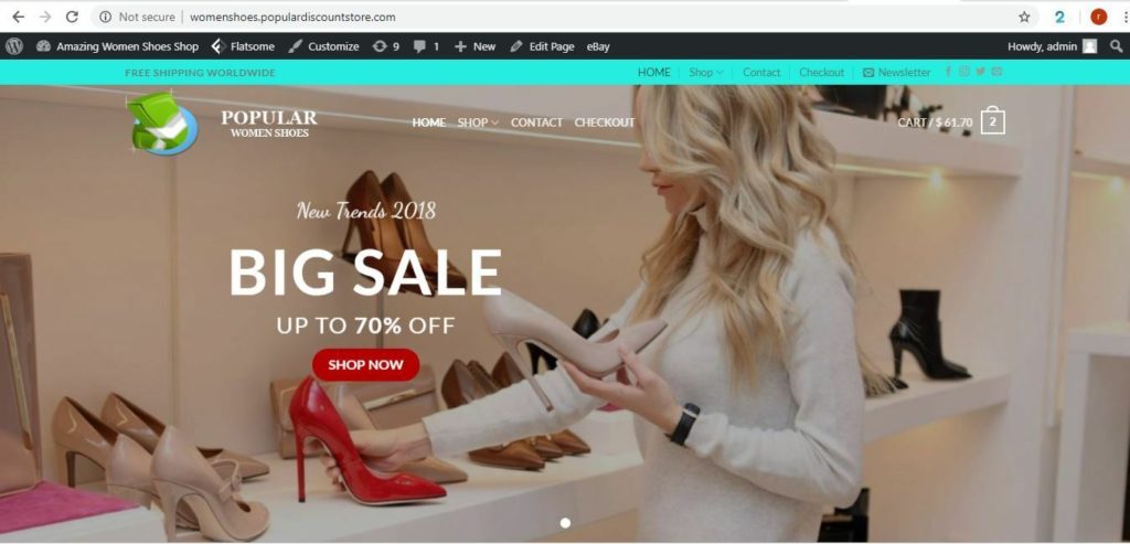 Established-Profitable-LADIES-SHOES-Turnkey-DropShip-Website-Business-For-Sale