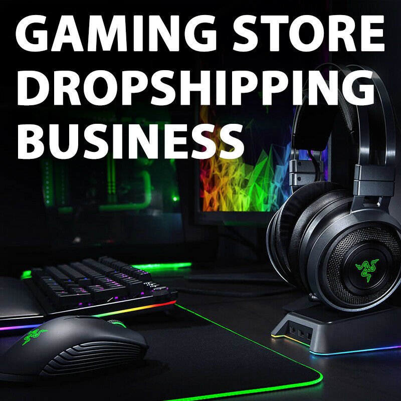 Gaming Accessories Store - Ready To Go Dropshipping Business Website