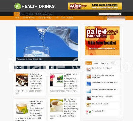 HEALTH DRINKS BLOG / WEBSITE WITH AFFILIATE OPTIONS & NEW DOMAIN & HOSTING