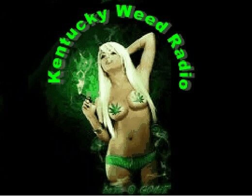 Kentuckyweedradio.com. Domain website and twitter Marijuana Website