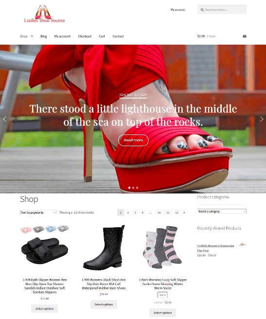 Womans Shoes Website Business For Sale Unlimited Stock