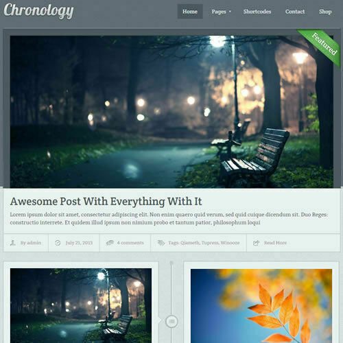 WordPress 'CHRONOLOGY' Website eCommerce Magazine Theme For Sale (FREE HOSTING)