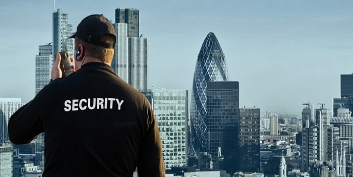 Global Manned Security Services Market