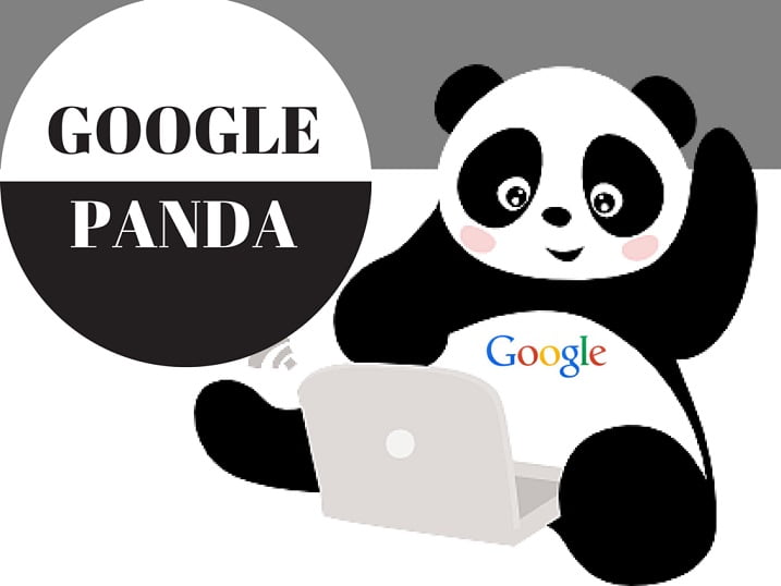 Get to know how google panda can help you